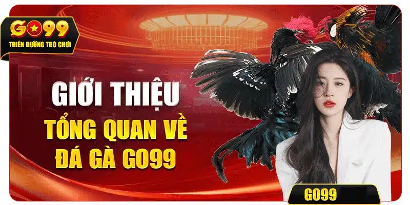 Giới thiệu đá gà go99