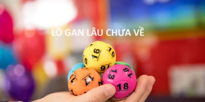 Sơ lược tổng quan về lô gan miền bắc